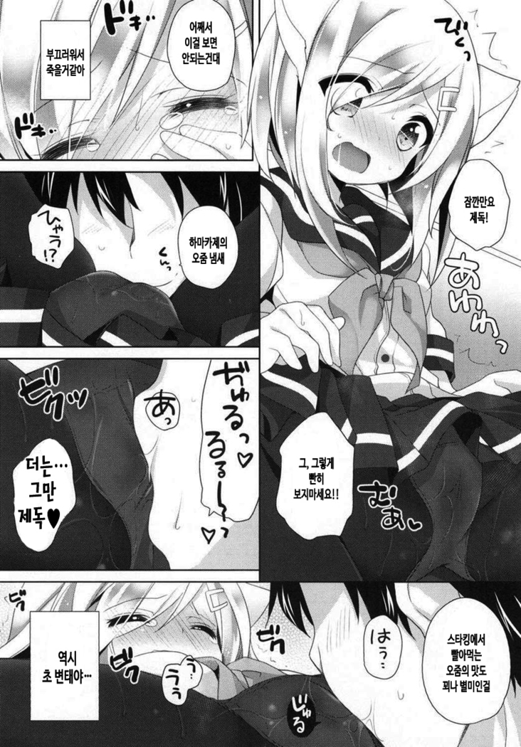 Nekomimi Temptation