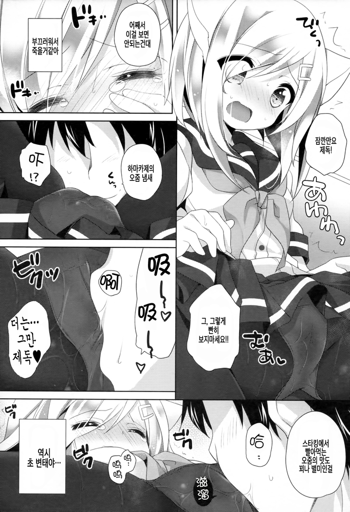 Nekomimi Temptation