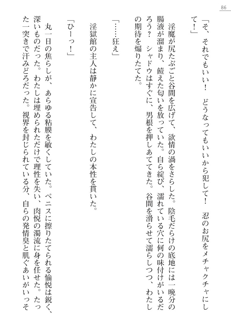 魔斬姫外伝　御劔家秘録