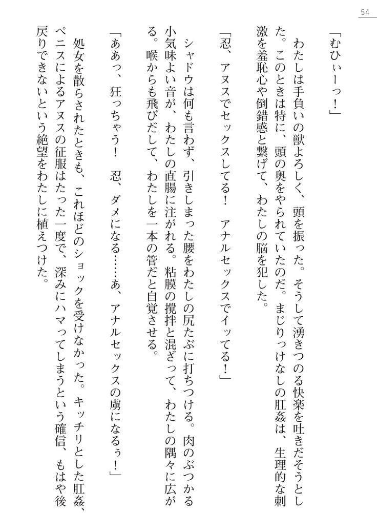 魔斬姫外伝　御劔家秘録