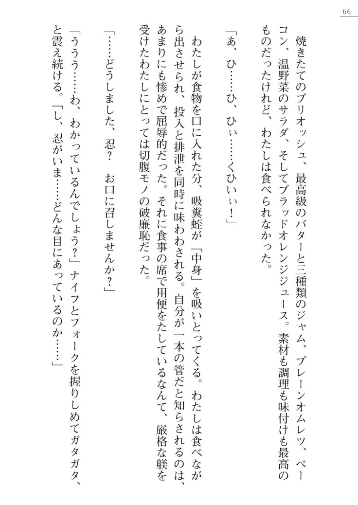 魔斬姫外伝　御劔家秘録
