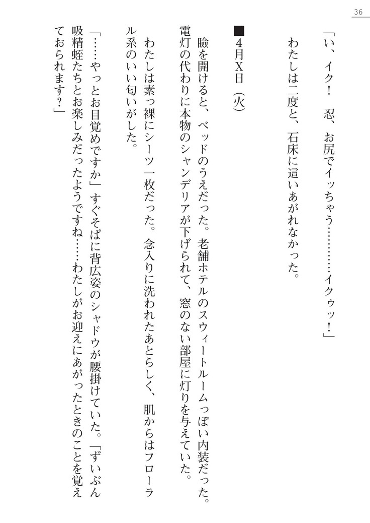 魔斬姫外伝　御劔家秘録