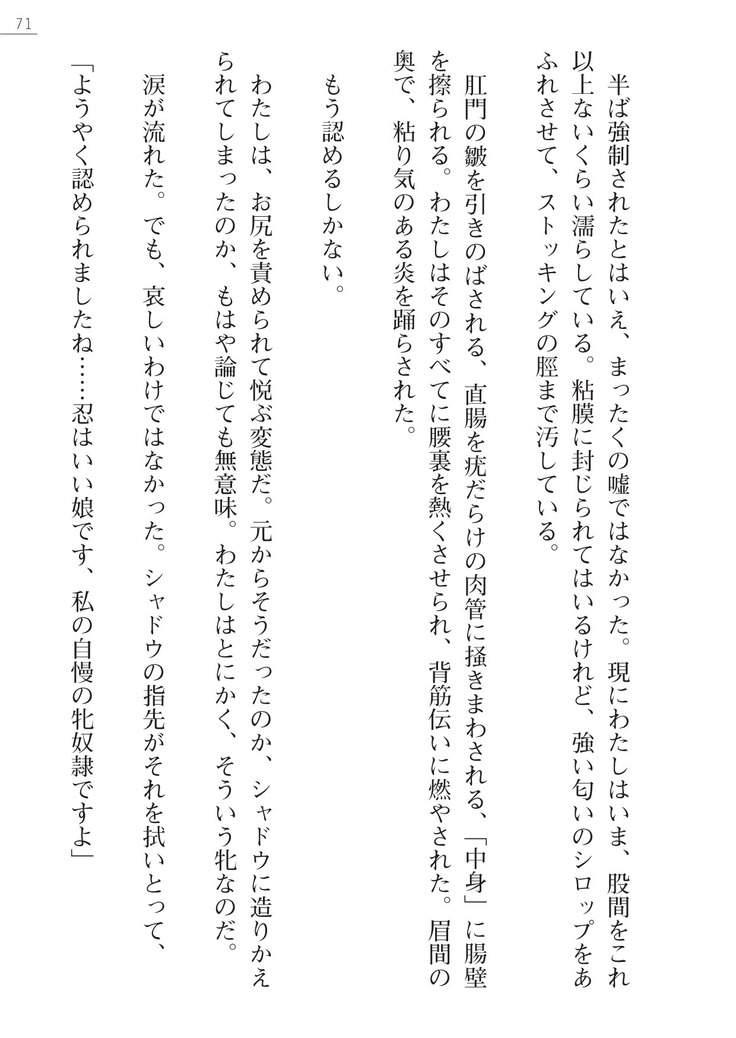 魔斬姫外伝　御劔家秘録