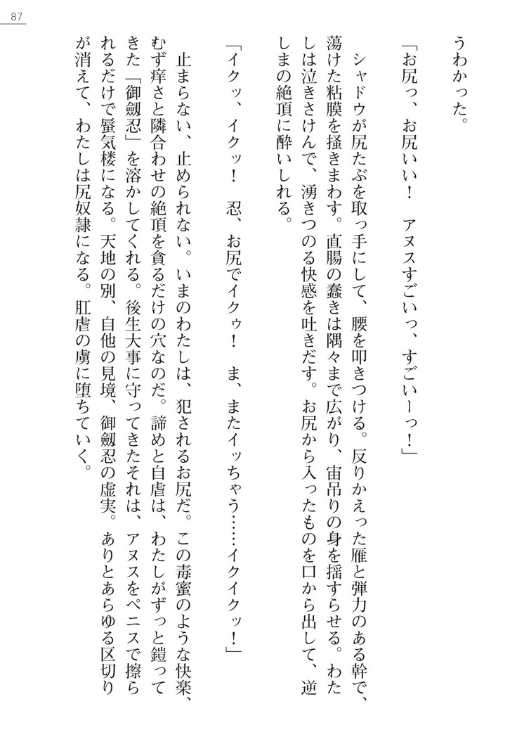 魔斬姫外伝　御劔家秘録