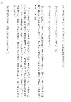 魔斬姫外伝　御劔家秘録 Page #65