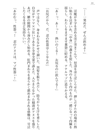 魔斬姫外伝　御劔家秘録 Page #88