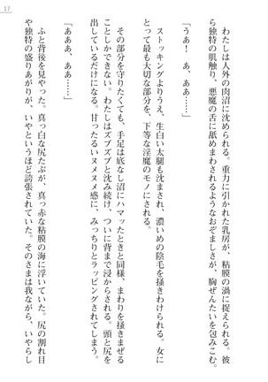 魔斬姫外伝　御劔家秘録 Page #17
