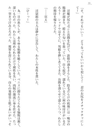 魔斬姫外伝　御劔家秘録 Page #86