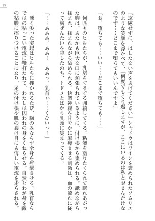 魔斬姫外伝　御劔家秘録 Page #19