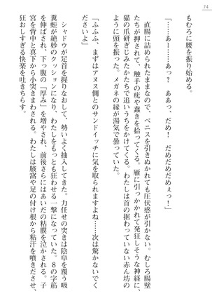 魔斬姫外伝　御劔家秘録 Page #74