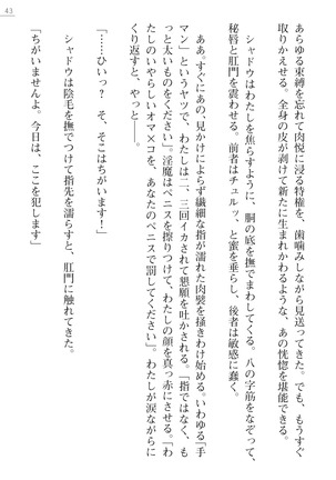 魔斬姫外伝　御劔家秘録 Page #43