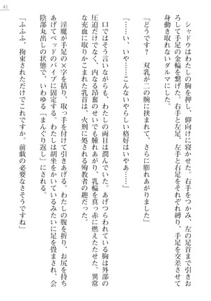 魔斬姫外伝　御劔家秘録 Page #41