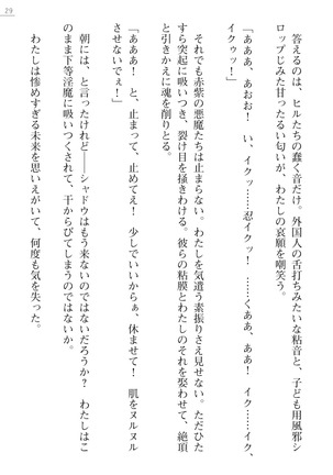 魔斬姫外伝　御劔家秘録 Page #29
