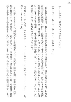 魔斬姫外伝　御劔家秘録 Page #64