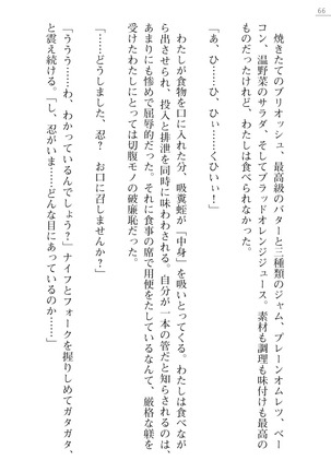 魔斬姫外伝　御劔家秘録 Page #66