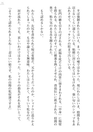 魔斬姫外伝　御劔家秘録 Page #71