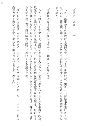 魔斬姫外伝　御劔家秘録 Page #13
