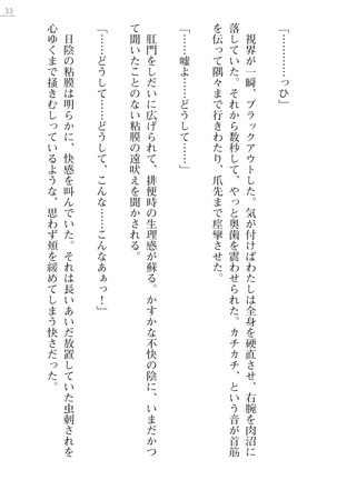 魔斬姫外伝　御劔家秘録 Page #33