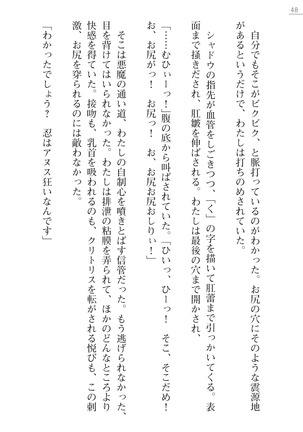 魔斬姫外伝　御劔家秘録 Page #48