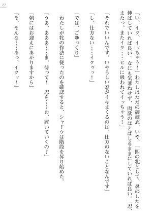 魔斬姫外伝　御劔家秘録 Page #27