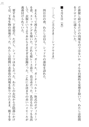 魔斬姫外伝　御劔家秘録 Page #69