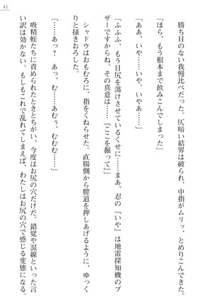 魔斬姫外伝　御劔家秘録 Page #45