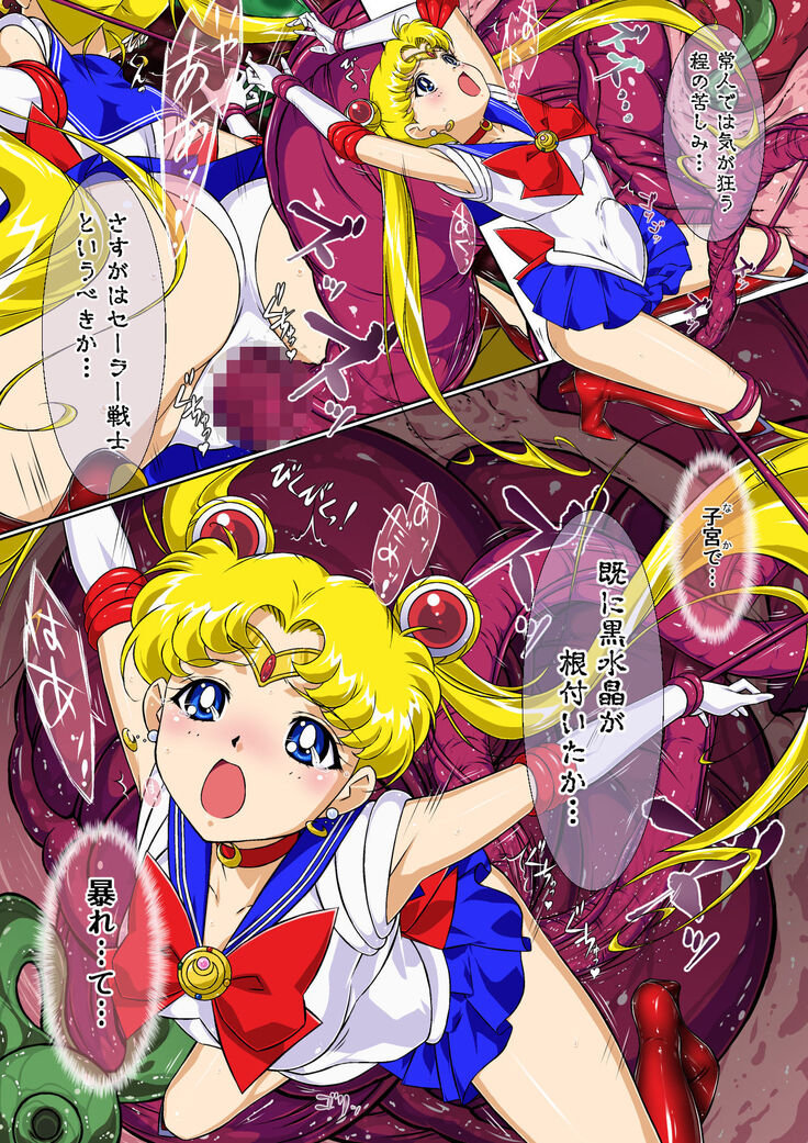 Sailor Moon Chu!