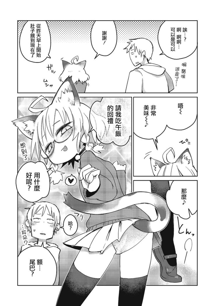 Mix Cat