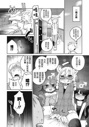 Mix Cat Page #16