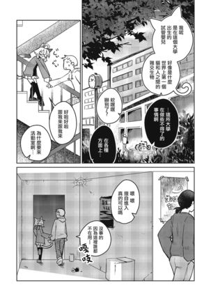 Image 8038003