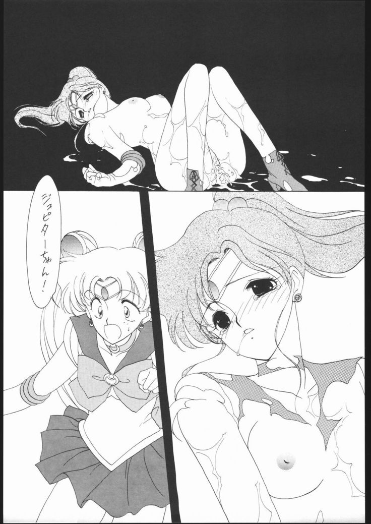 SAILORS RED VERSION