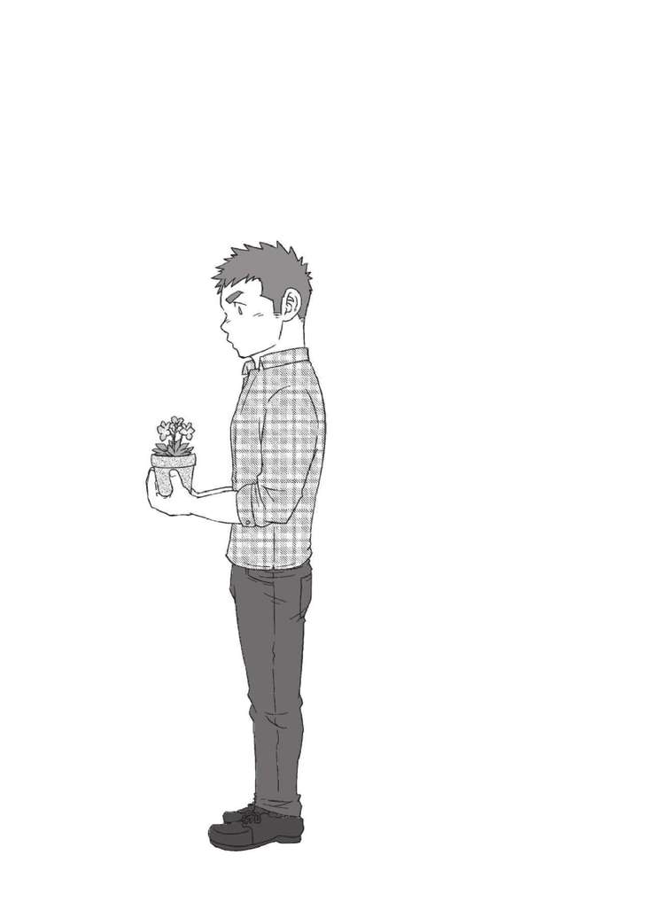 3/12 three-twelfths