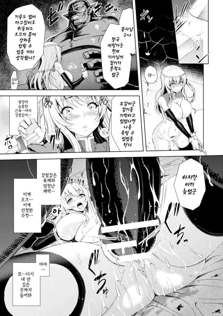 ERONA Orc no Inmon ni Okasareta Onna Kishi no Matsuro  ch.1-6 | 에로나 오크의 음문에 침식당한 여기사의 결말 1-6화