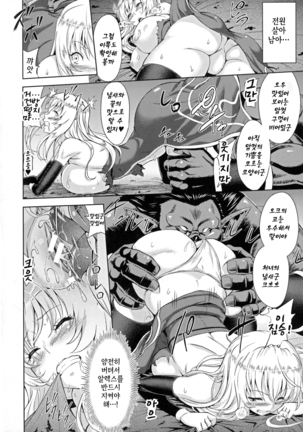 ERONA Orc no Inmon ni Okasareta Onna Kishi no Matsuro  ch.1-6 | 에로나 오크의 음문에 침식당한 여기사의 결말 1-6화 Page #14