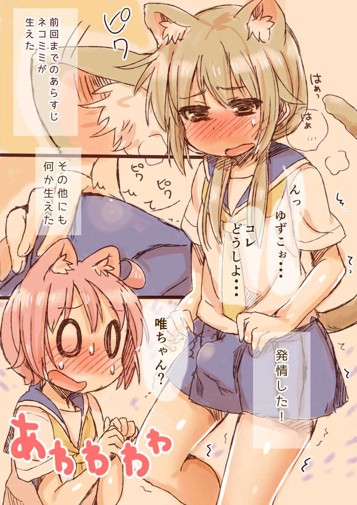 Nekomimi to Hatsujou to Suteki na Nanka