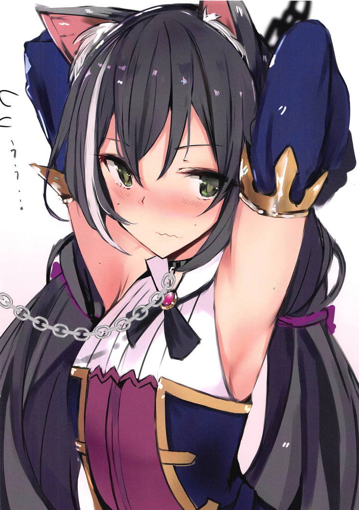 Ecchi na Koto Shite Connect Suru Hon