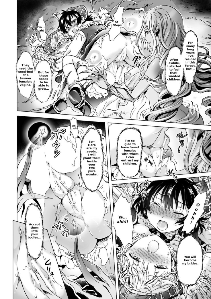 Dryad no Hanayome-tachi |The Dryad's Brides