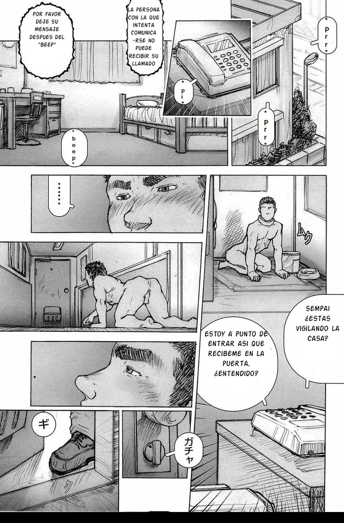 Kai Makoto Training Dog