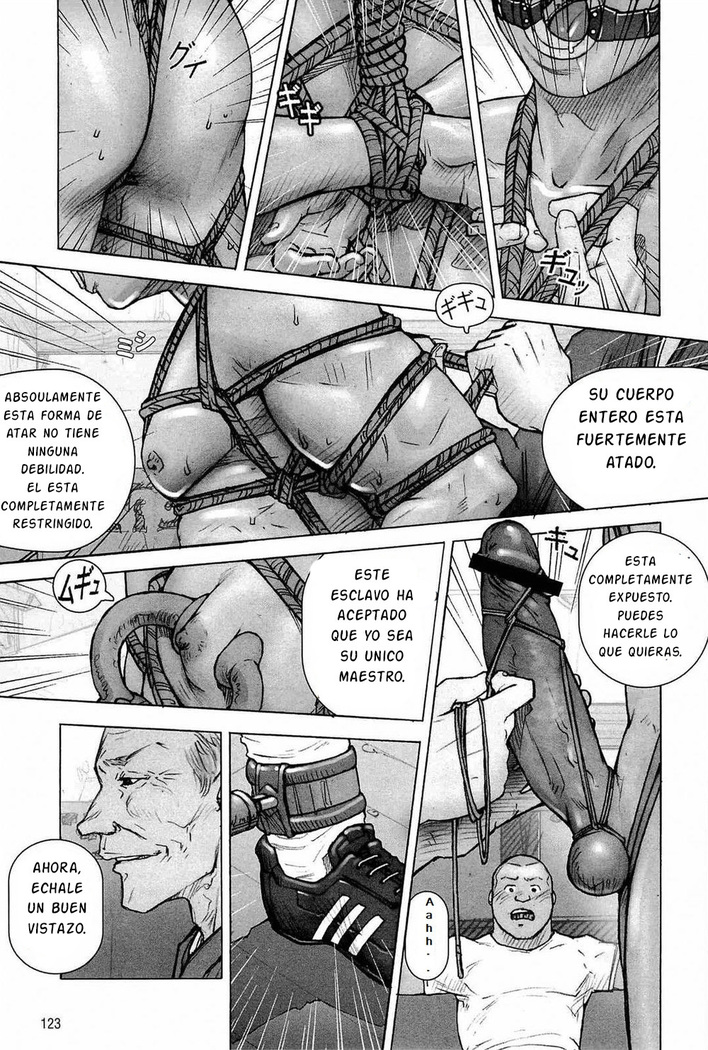 Kai Makoto Training Dog