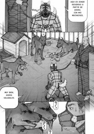 Kai Makoto Training Dog Page #85