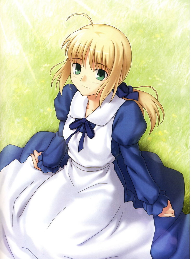 Fate/stay nigh FAKE Avalont