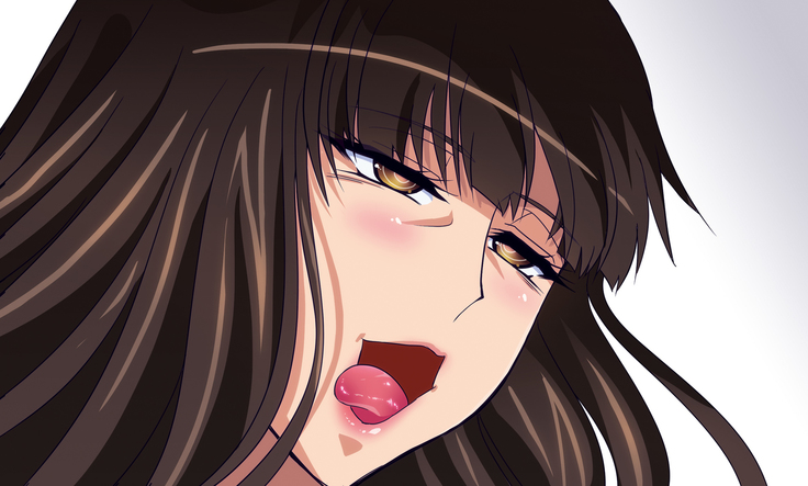 家元許可証 DL