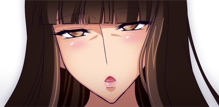家元許可証 DL