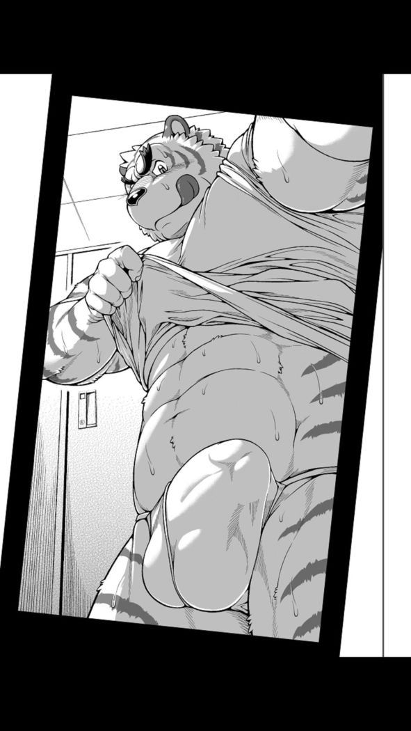 9animals MASSIVE TIGER