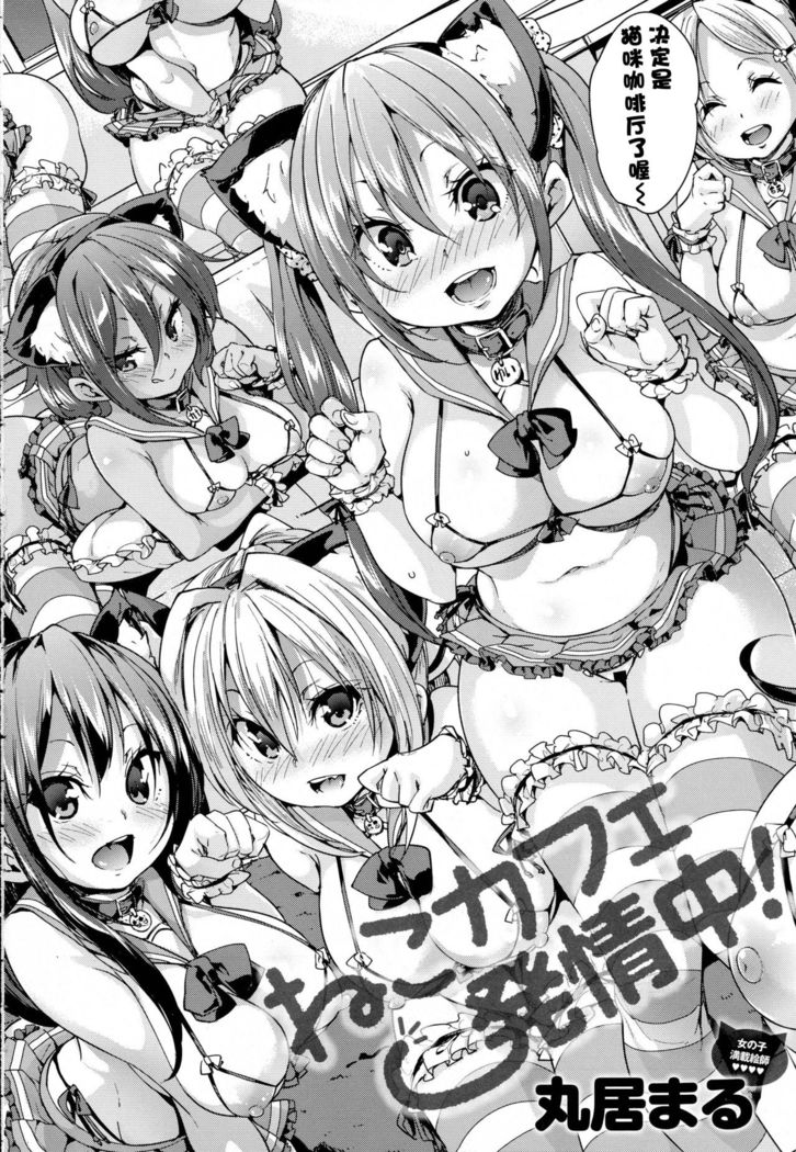 Neko Cafe Hatsujou Chuu! | 猫咪咖啡发情中
