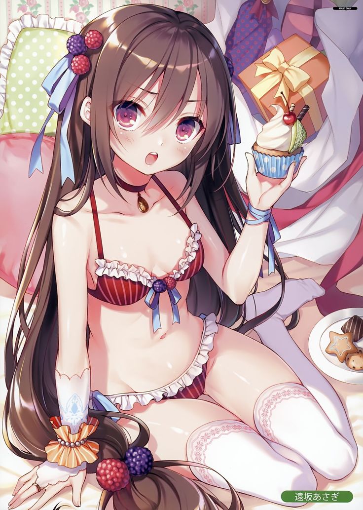 MELONBOOKS C93 Collection of Pictures EX ver.BLUE