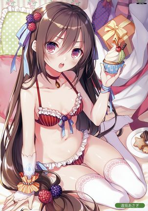 MELONBOOKS C93 Collection of Pictures EX ver.BLUE Page #21