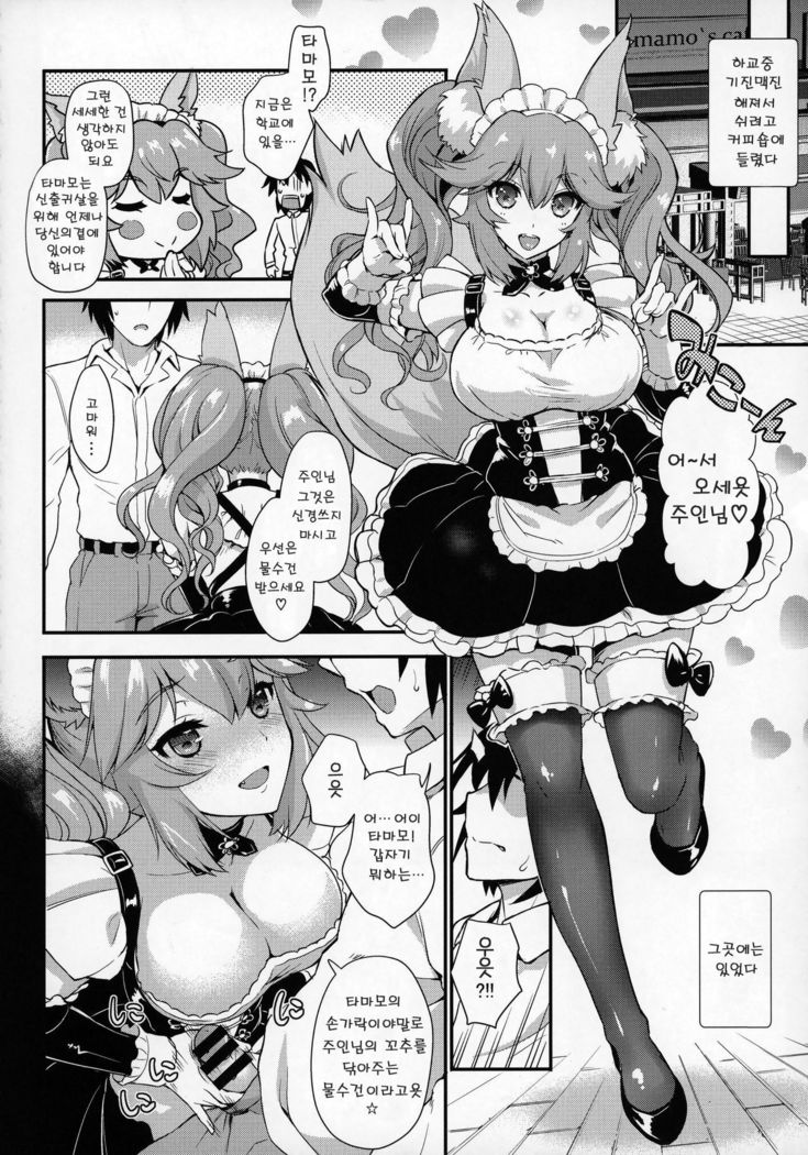 Houkago Tamamo Club | 방과후 타마모 클럽