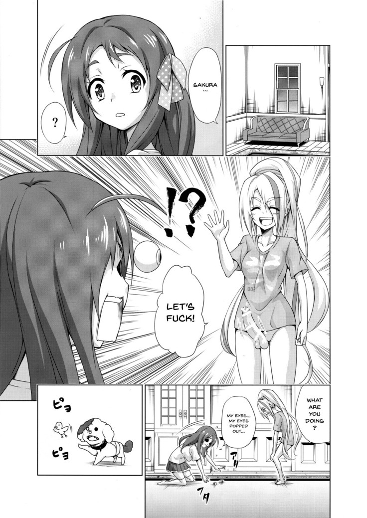Rental Chinchin SAGA | Rental Cock SAGA