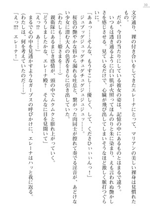 性隷剣士エレーナ Page #30